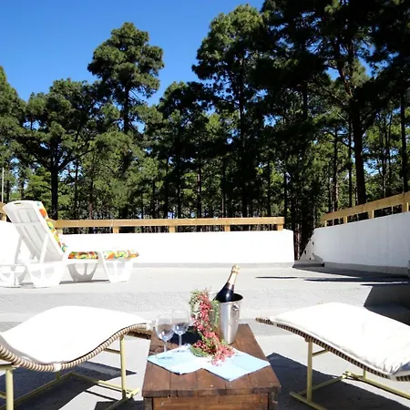 La Casa Encantada Del Bosque Tatil Evi Icod De Los Vinos