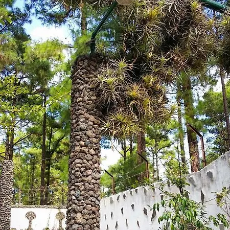 La Casa Encantada Del Bosque Tatil Evi Icod De Los Vinos