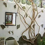 La Casa Encantada Del Bosque * Icod De Los Vinos