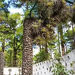 La Casa Encantada Del Bosque Vakantiehuis Icod De Los Vinos